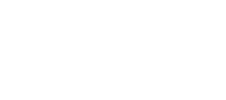 Heinz