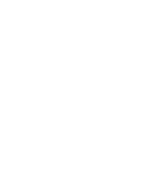 Ferrioni